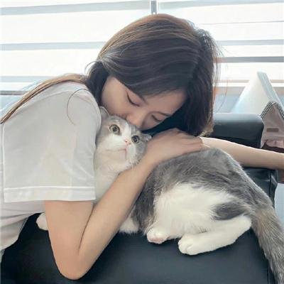 大楼里只有谋杀第四季 在线观看